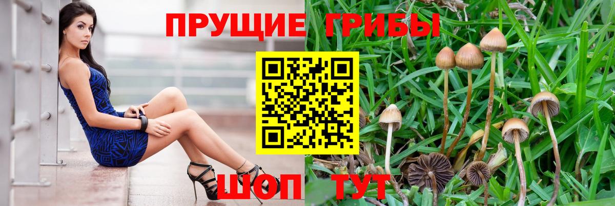 Галлюциногенные грибы GOLDEN TEACHER  Вход с VPN  Алушта  Галлюциногенные грибы мухоморы 